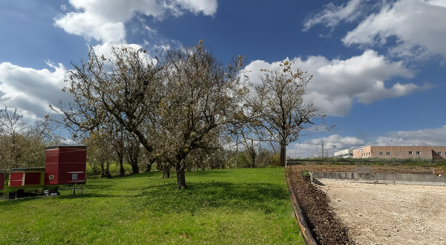 Riciclo e Verde